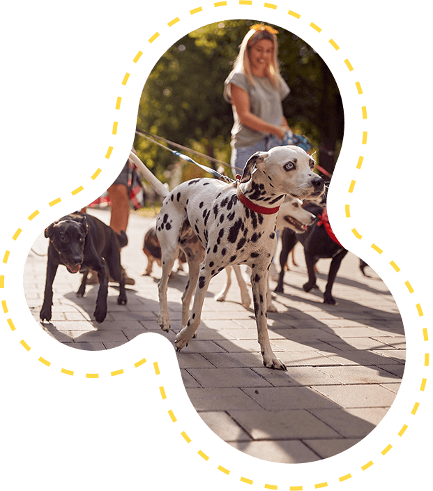 Animali Preziosi